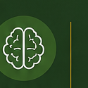 Executive Function